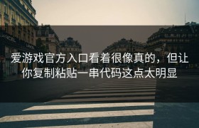 爱游戏官方入口看着很像真的，但让你复制粘贴一串代码这点太明显