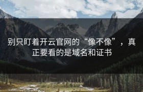 别只盯着开云官网的“像不像”，真正要看的是域名和证书