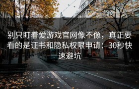 别只盯着爱游戏官网像不像，真正要看的是证书和隐私权限申请：30秒快速避坑