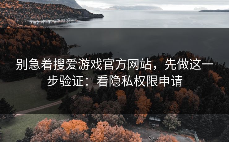 别急着搜爱游戏官方网站，先做这一步验证：看隐私权限申请
